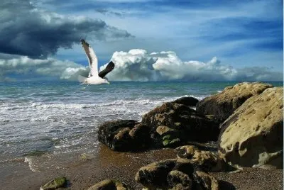 En Puerto Madryn. Chubut. Argentina jigsaw puzzle