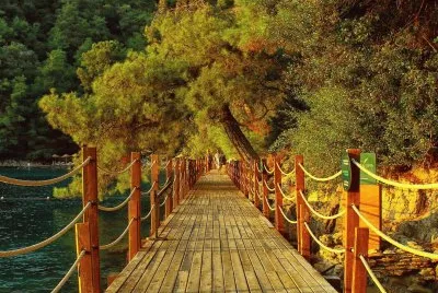 537 jigsaw puzzle