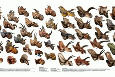 Des dinos partout ! jigsaw puzzle