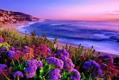 paisagem