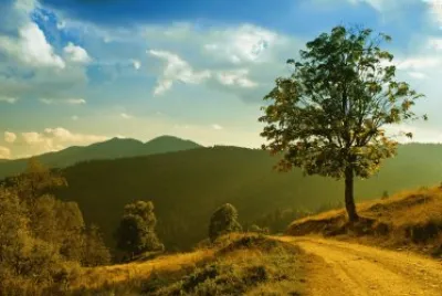 Natureza jigsaw puzzle