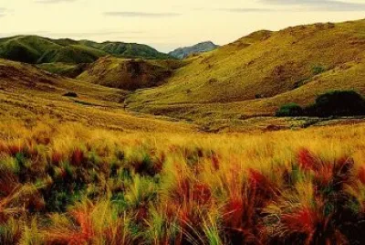 En las Sierras Chicas de CÃ³rdoba. Argentina jigsaw puzzle