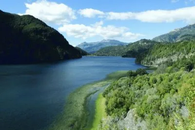 PN Los Alerces. Chubut. Argentina jigsaw puzzle