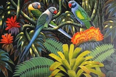 pÃ¡ssaros jigsaw puzzle