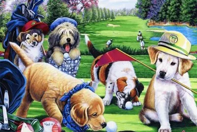 cÃ£ezinhas