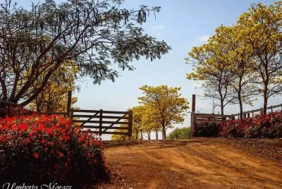 Natureza jigsaw puzzle