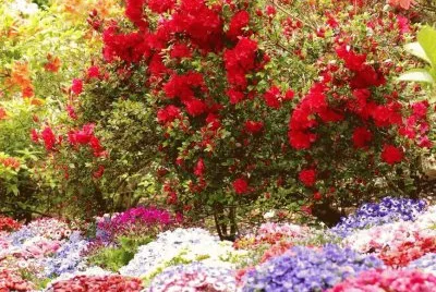 546 jigsaw puzzle