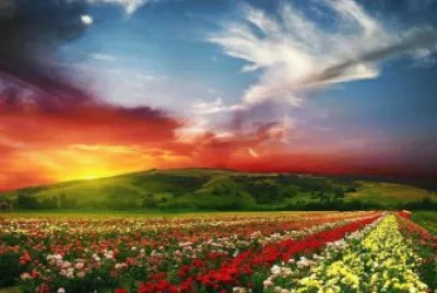 547 jigsaw puzzle