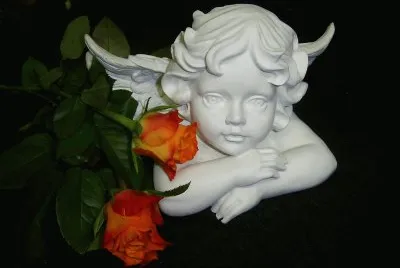 Engel