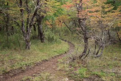 Sendero a Laguna Los CÃ©sares. RÃ­o Negro. Argentina jigsaw puzzle