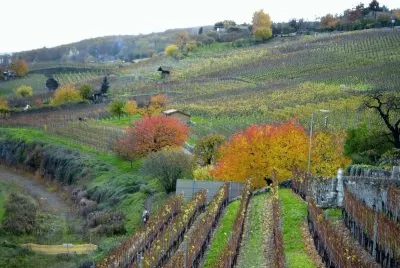 automne jigsaw puzzle