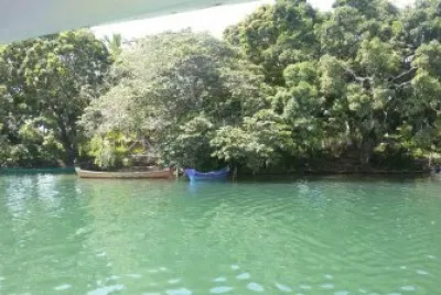 Natureza Pura