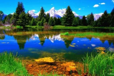 Natureza jigsaw puzzle