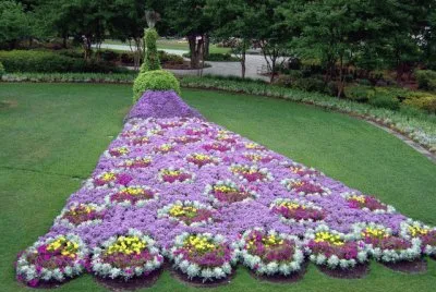 PAVO REAL FLORIDO jigsaw puzzle