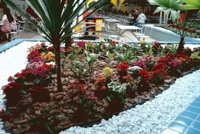 natureza jigsaw puzzle