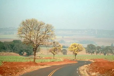 Natureza jigsaw puzzle