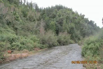 Estero jigsaw puzzle