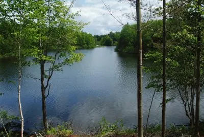 Summer 's day in the woods...got your fishing rod? jigsaw puzzle