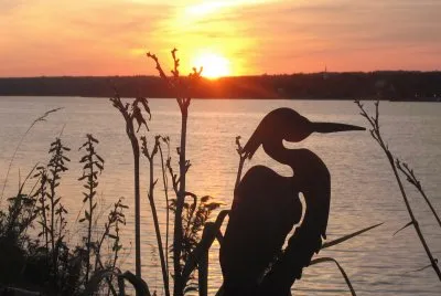 The Lookout jigsaw puzzle