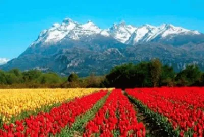 Trevelin. Chubut. Argentina jigsaw puzzle