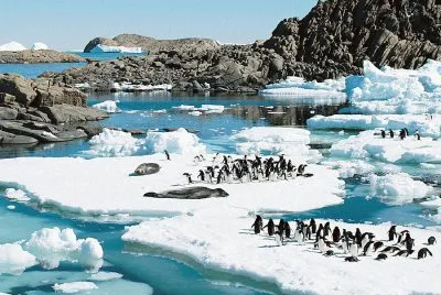 En la AntÃ¡rtida Argentina jigsaw puzzle