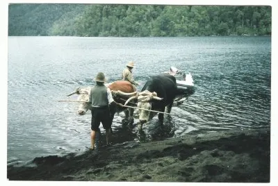 Lago Gallardo. NeuquÃ©n. Argentina jigsaw puzzle