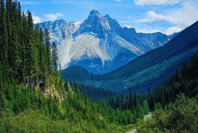 557 jigsaw puzzle
