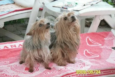 Nephtys et Norya