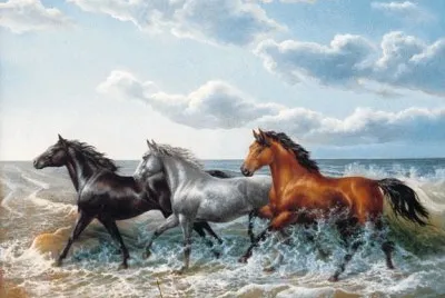 chevaux