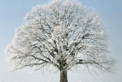 hiver-1