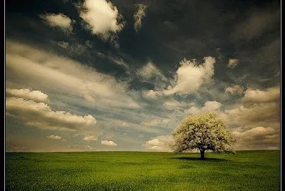 Natureza