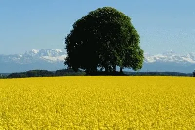 Natureza