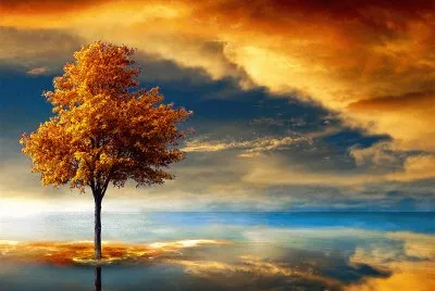 Autumn Dream