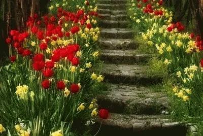 Natureza