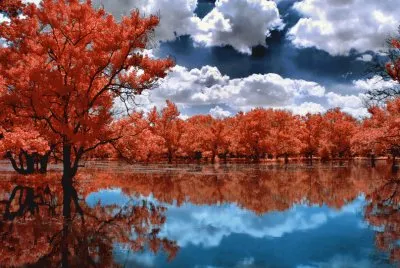 Natureza