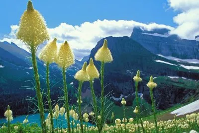 Natureza