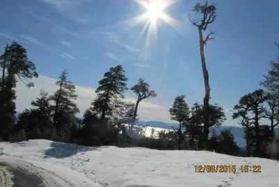 Camino nevado