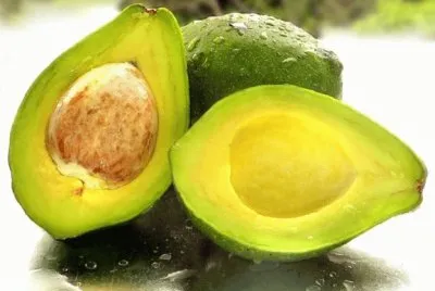 Avocado