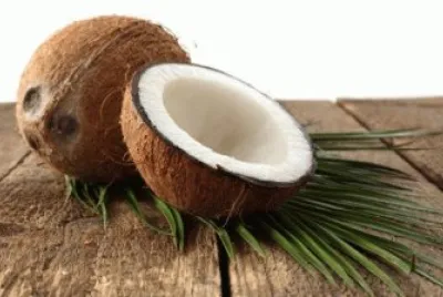 Cocco
