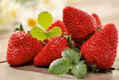 fragola