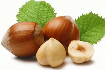 nocciola