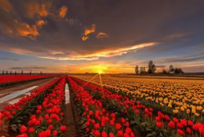 Natureza