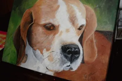 Rocco