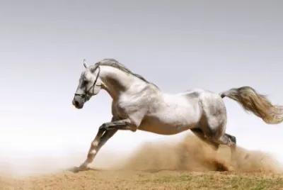 Run