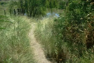 RÃ­o PehuajÃ³. Entre RÃ­os. Argentina
