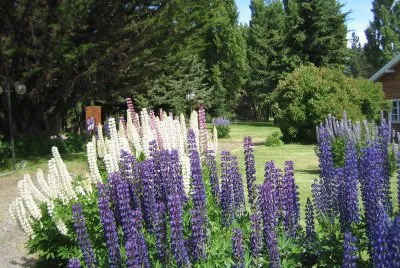 En la Patagonia Argentina