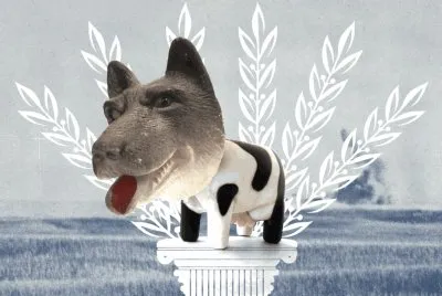 ×›×œ×‘