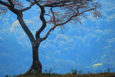 Natureza