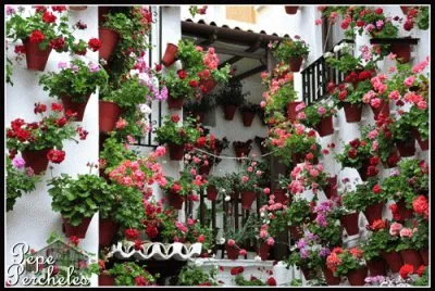 patio florido