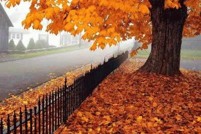 פאזל של otoÃ±o